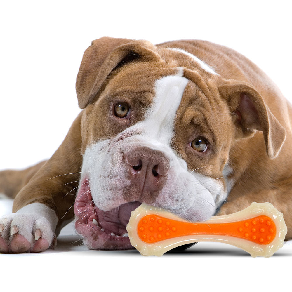 Rethink Pet Medium Bone-Chew Flavoured Dental Toy