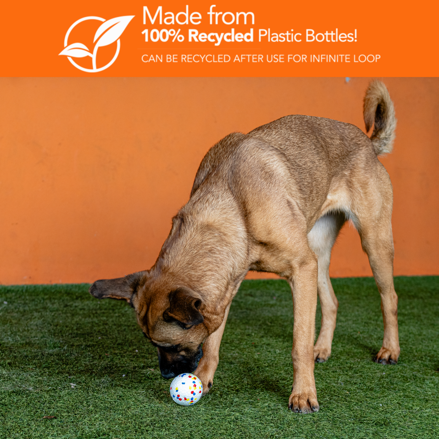 Rethink Pet Indestructo-Ball Toy