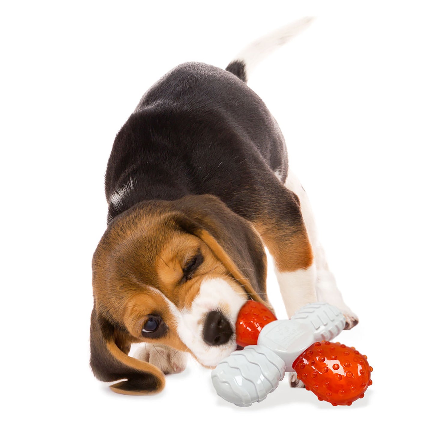 ReThink Pet Cross Chew Dog Toy Bacon Flavoured