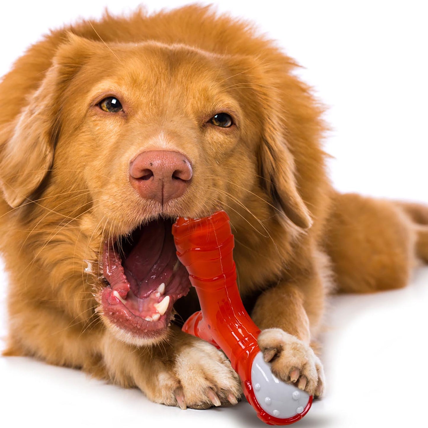 Rethink Pet Tri-Chew Dog Toy Bacon Flavoured