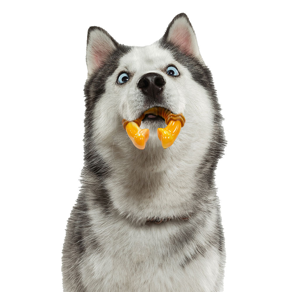 ReThink Pet Dental Munch Ring Chew Toy