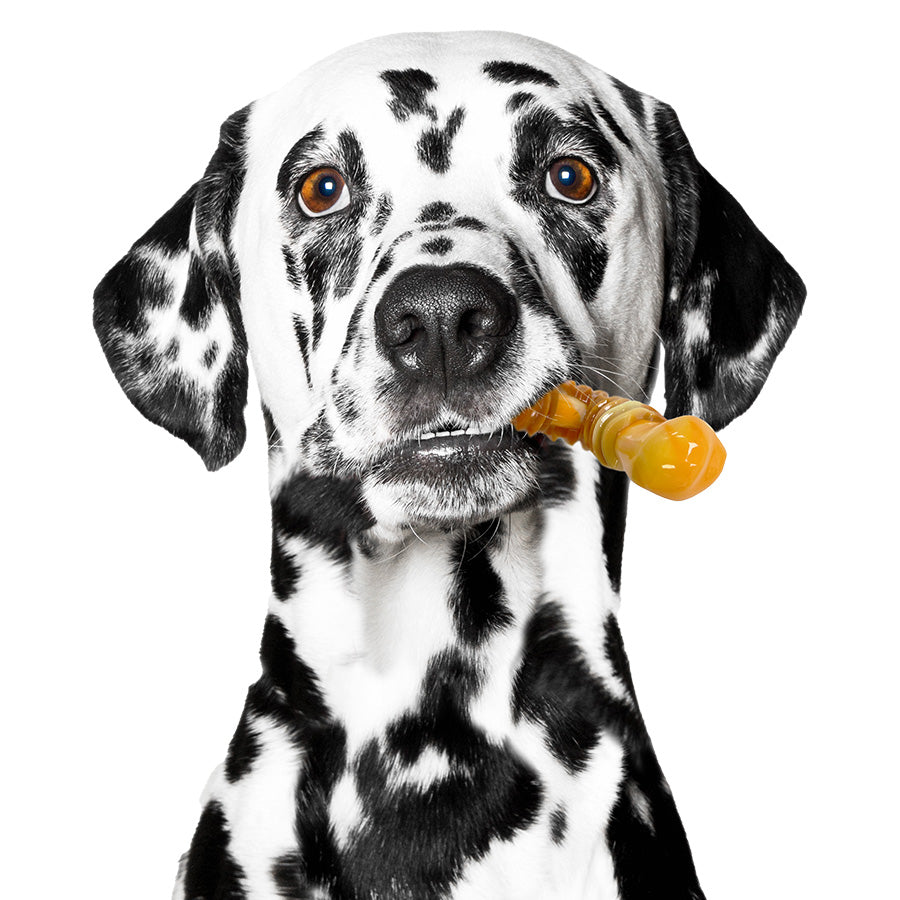 ReThink Pet Dental Munch Boomerang Chew Toy
