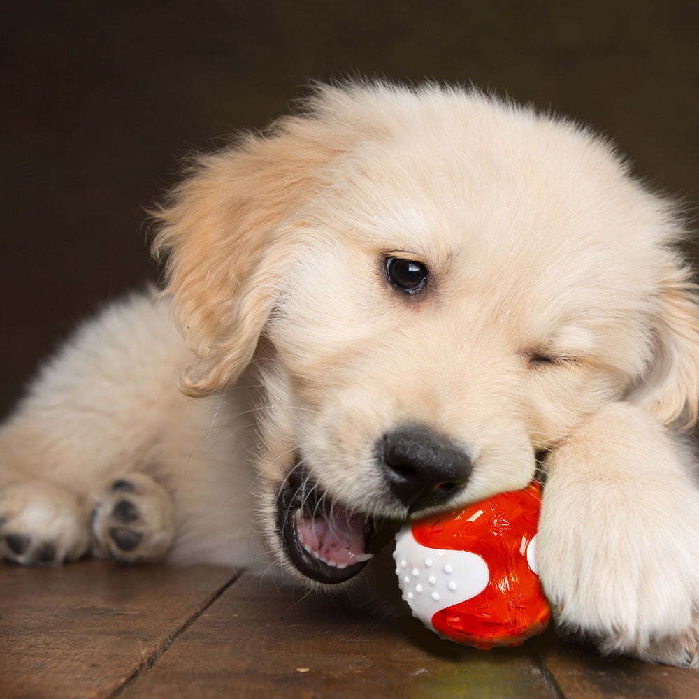 ReThink Dog Bacon Flavoured Ball-Chew Toy