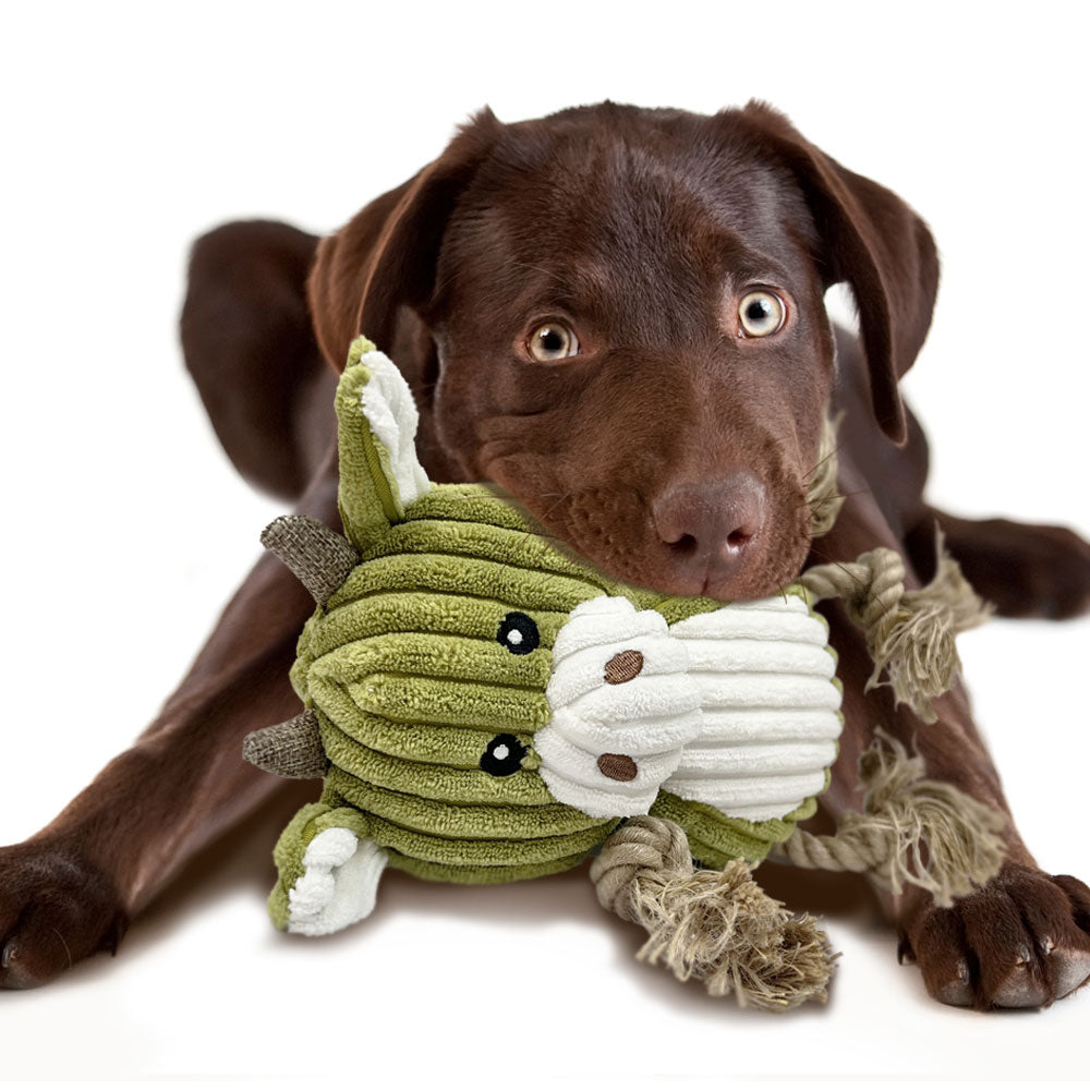 ReThink Pet Buddy Eco-bud Soft Toy