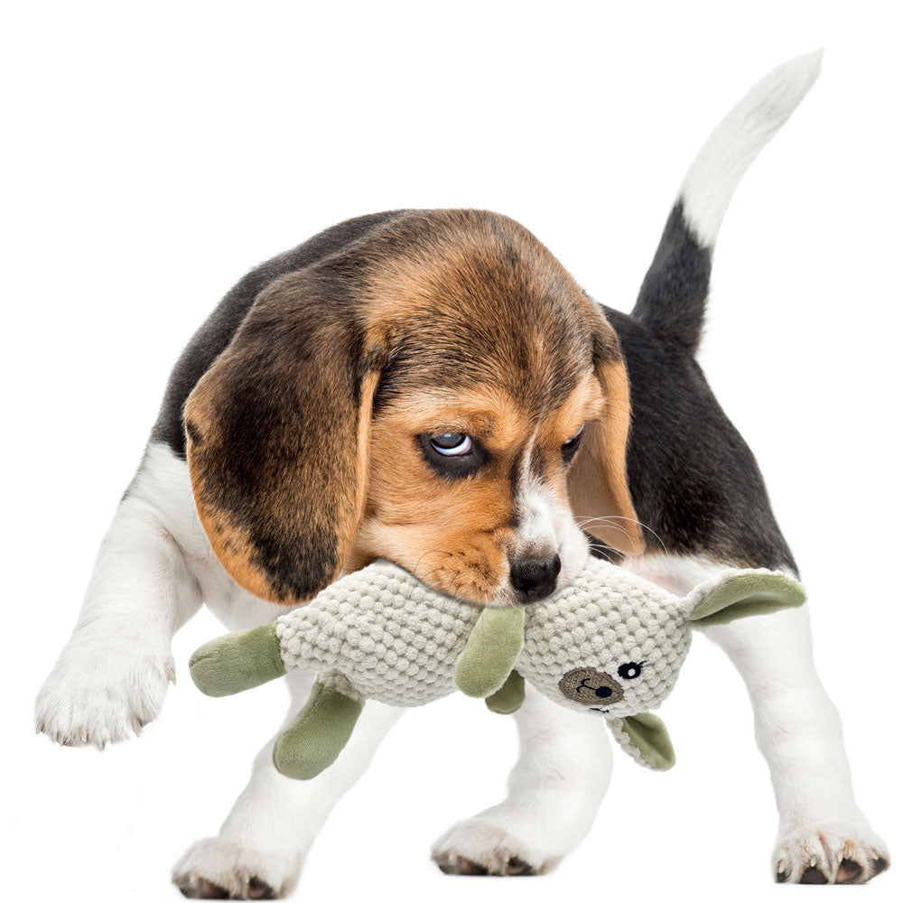 Rethink Pet Happy Eco-bud Soft Toy