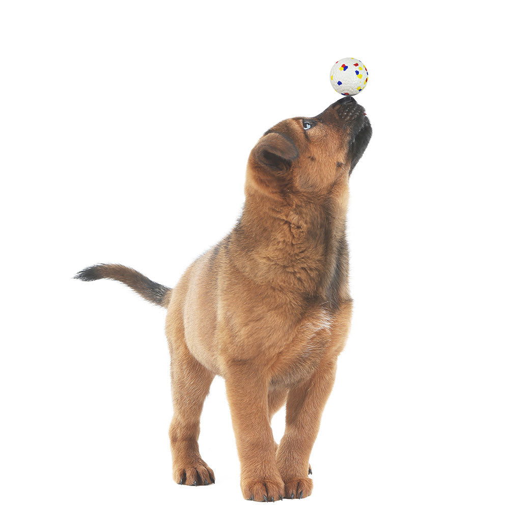 Rethink Pet Indestructo-Ball Toy